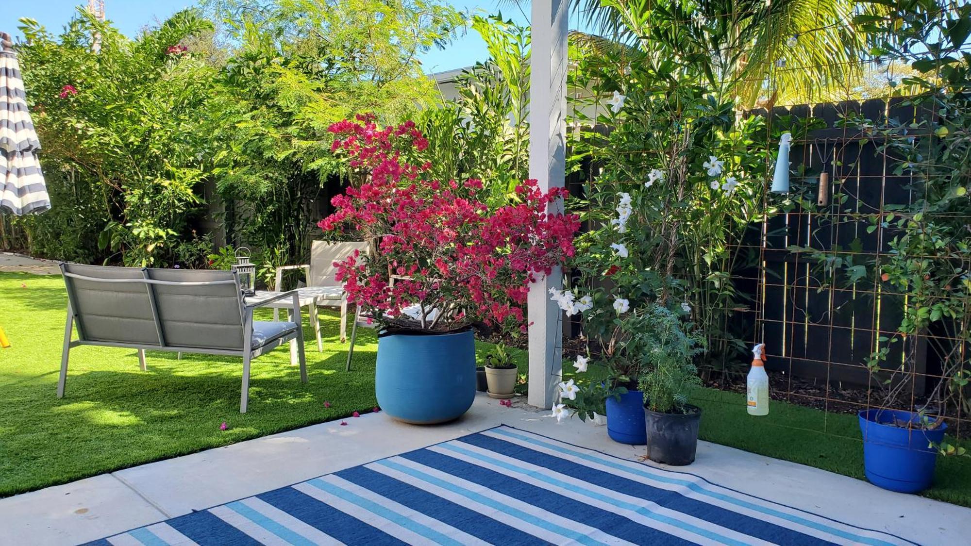 Apartamento Casa Cuba In Little Havana, Brickell, Calle 8 And 10 Minutes To The Free Parking Miami